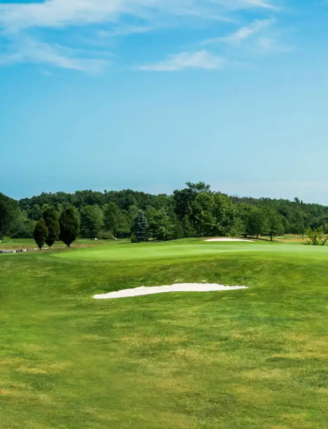sutton-creek-golf-3-green sutton creek golf course 12